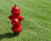 A bright red fire hydrant stands on a lush green lawn in Ottawa, Canada.